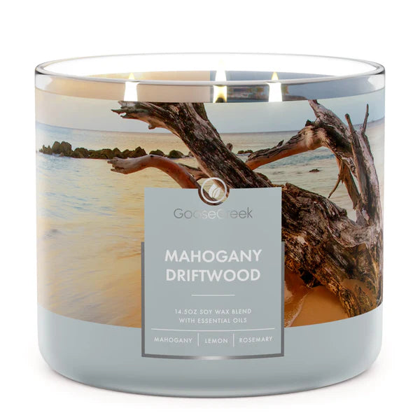 Forest Pine Trees 3-Wick Candle