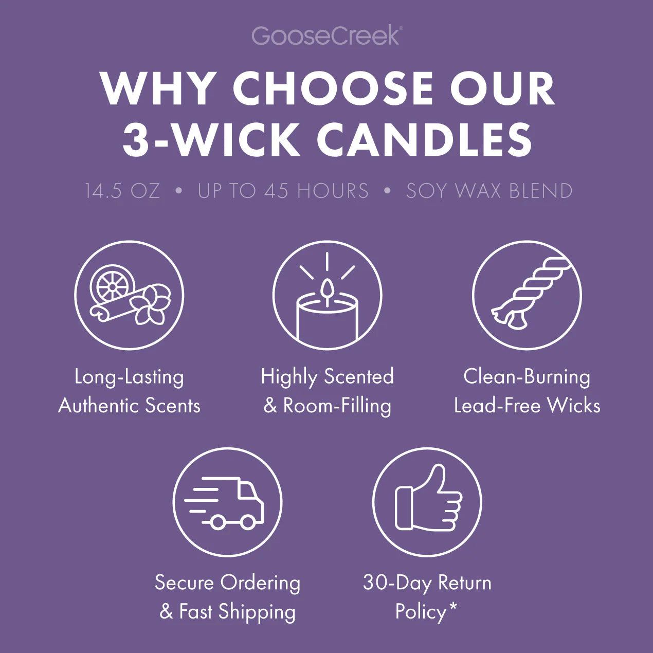 Sandy Cheeks 3-Wick Candle