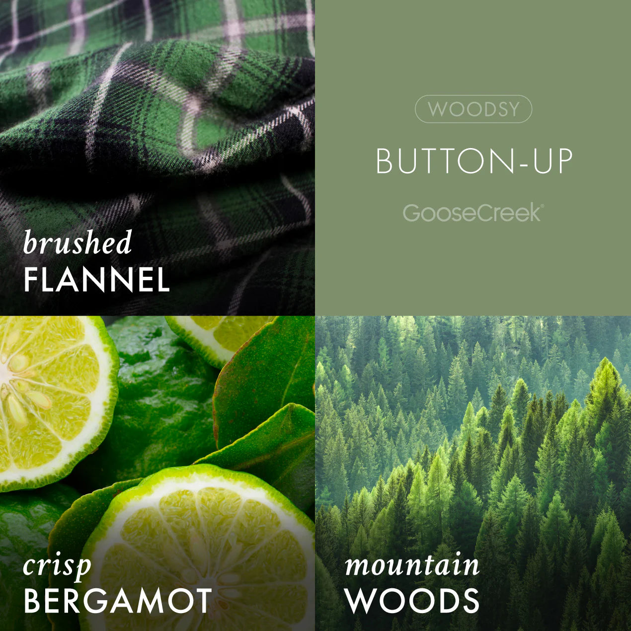 Button-Up Lush Foaming Hand Soap