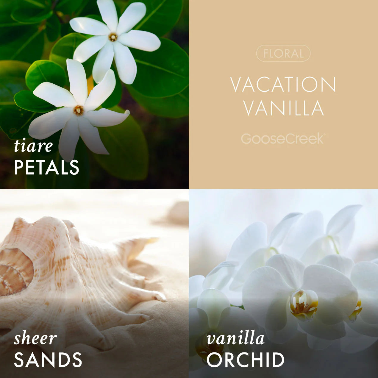 Vacation Vanilla 3-Wick Candle