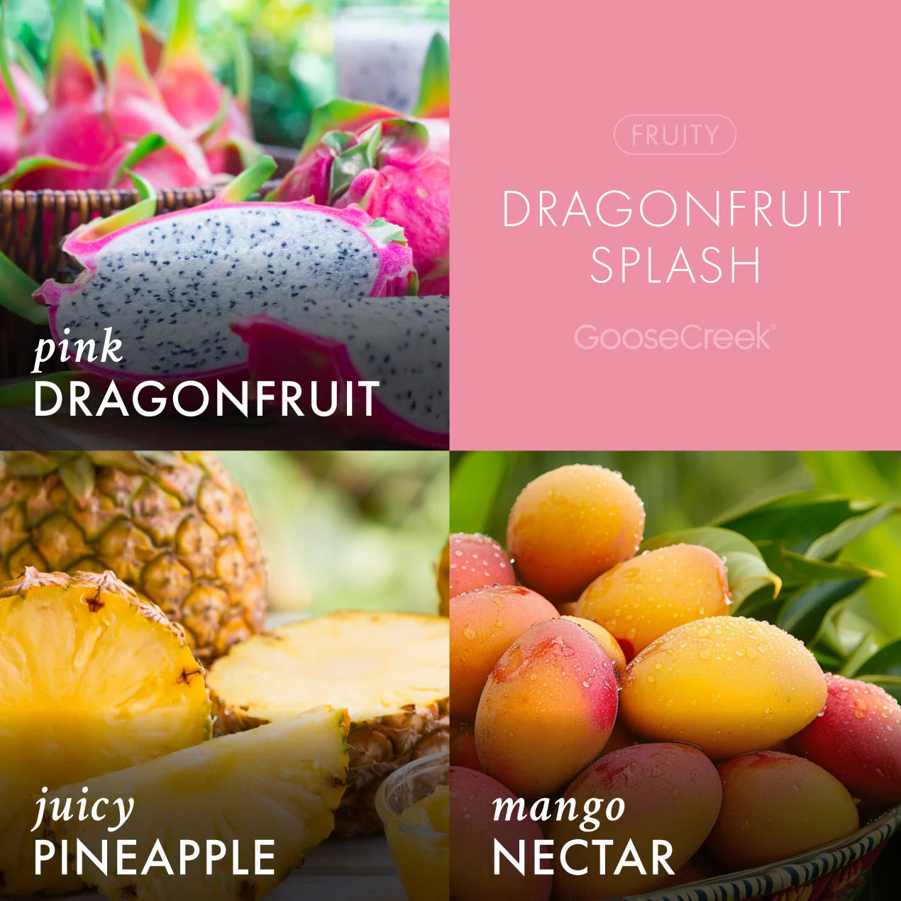 Dragonfruit Splash 3-Wick Candle