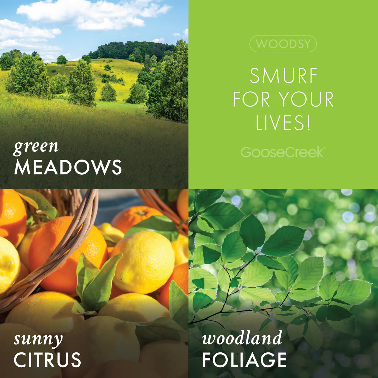 The Smurfs - Smurf for your Lives!