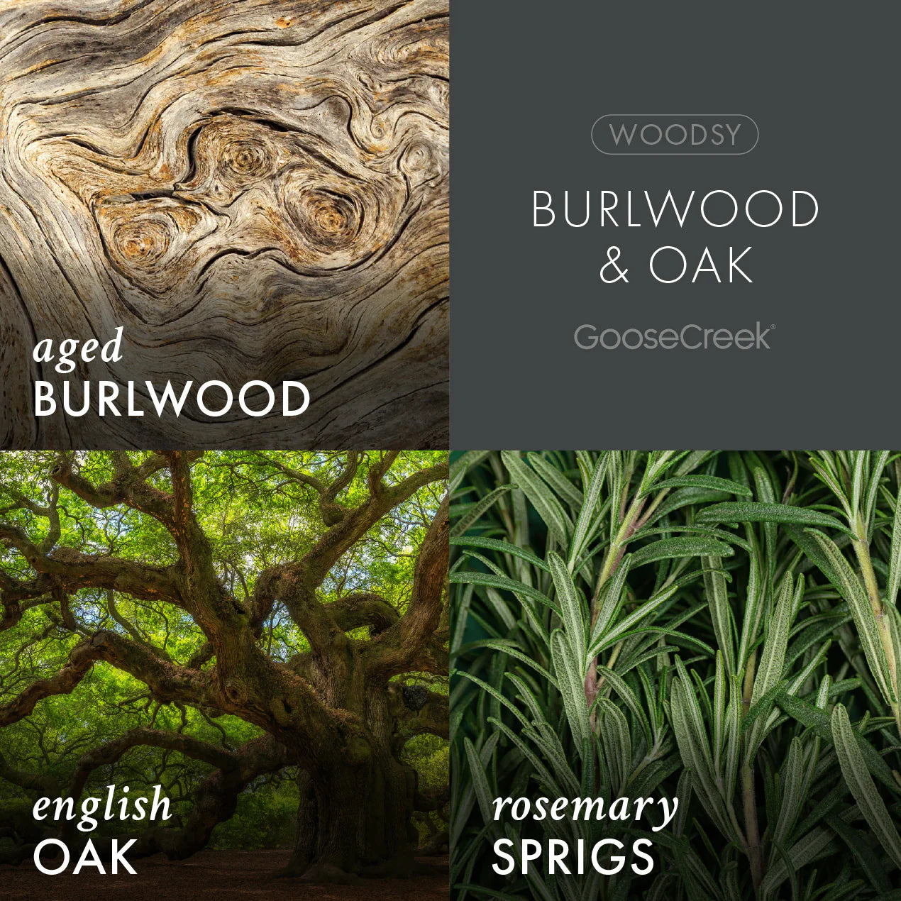 Burlwood & Oak Plug-in Refill