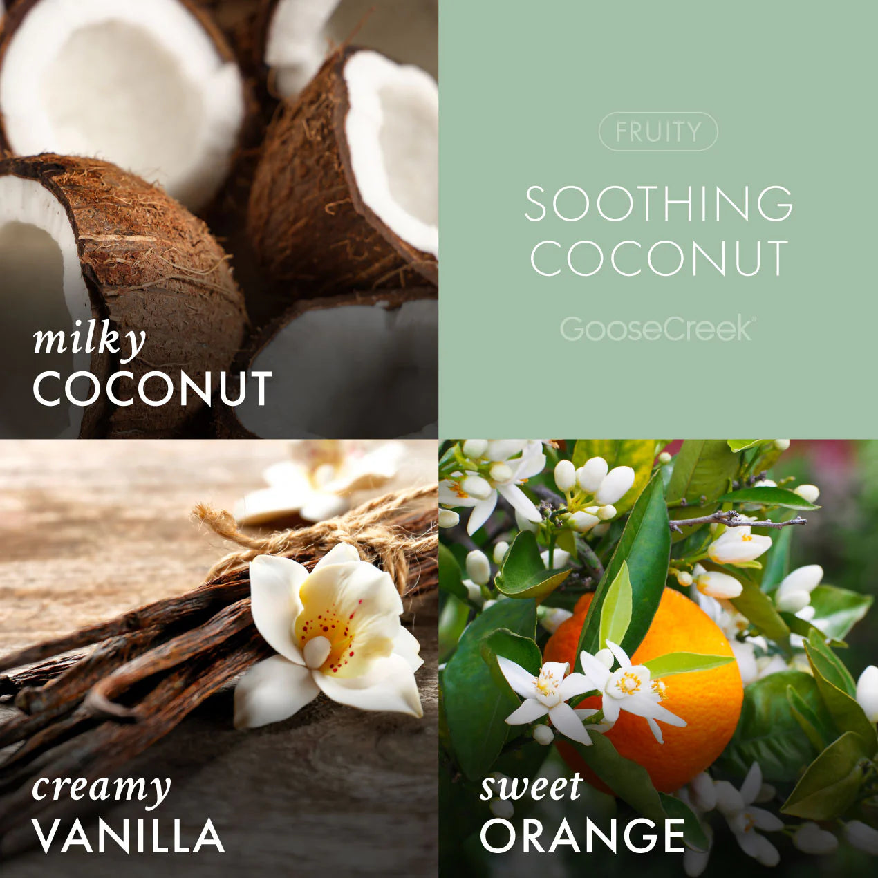 Soothing Coconut 3-Wick Candle