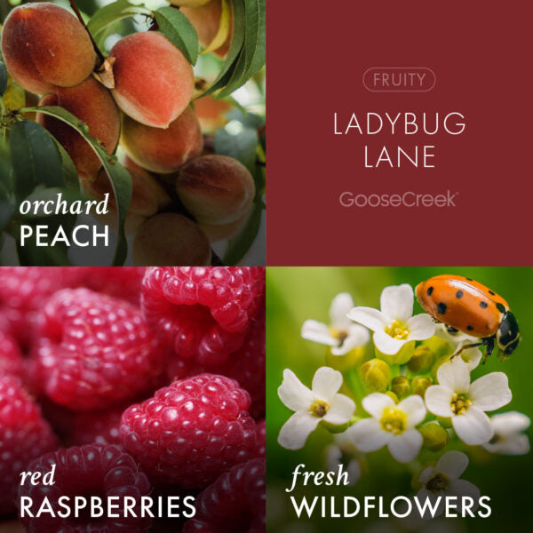 Ladybug Lane 3-Wick Candle