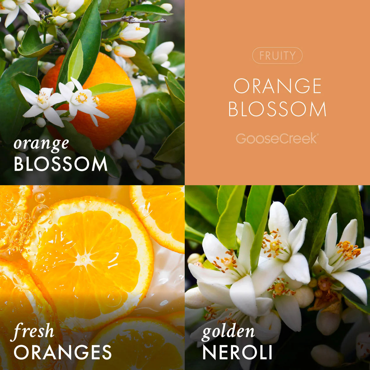 Orange Blossom 3-Wick Candle