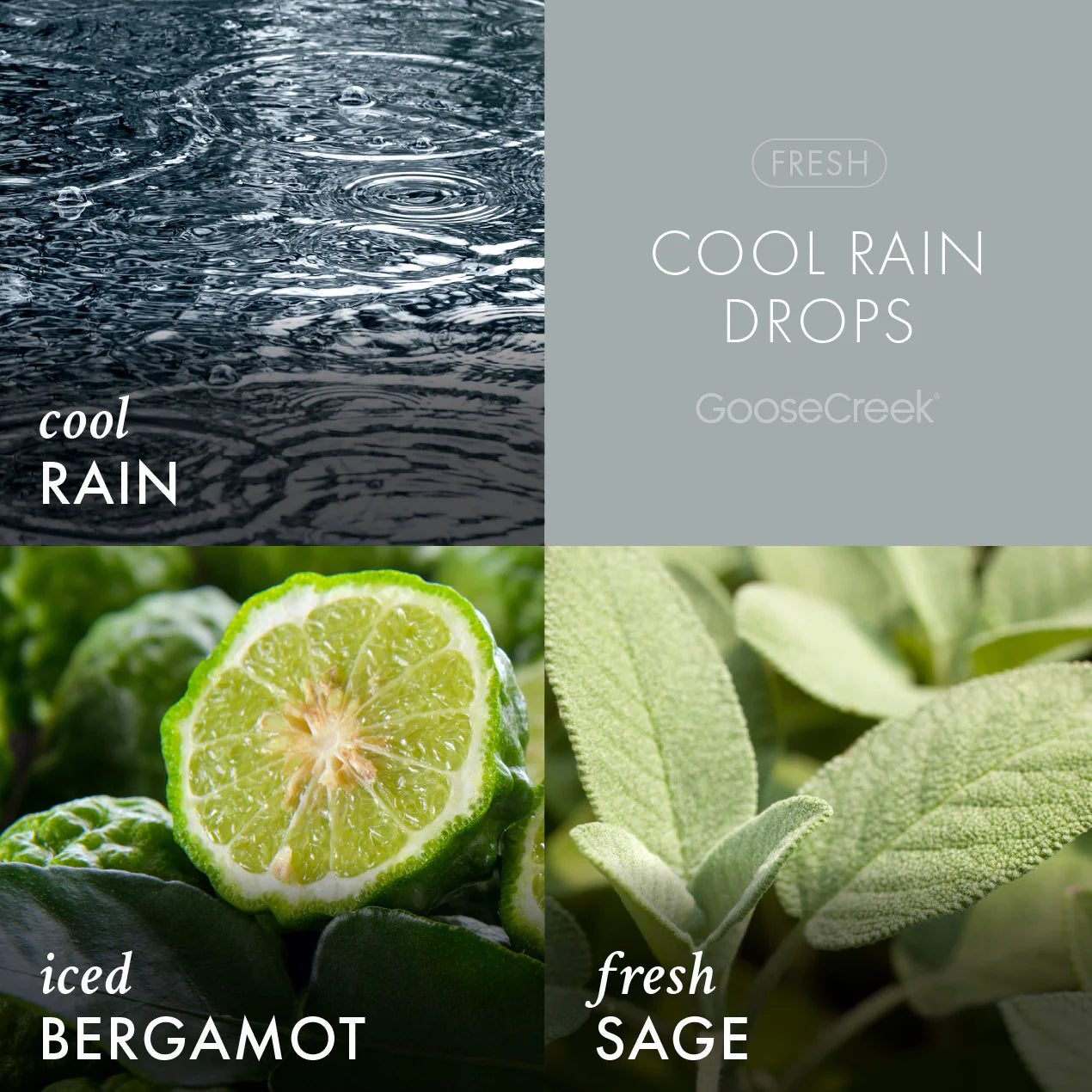 Odor Eliminating Cool Rain Drops Plug-in Refill