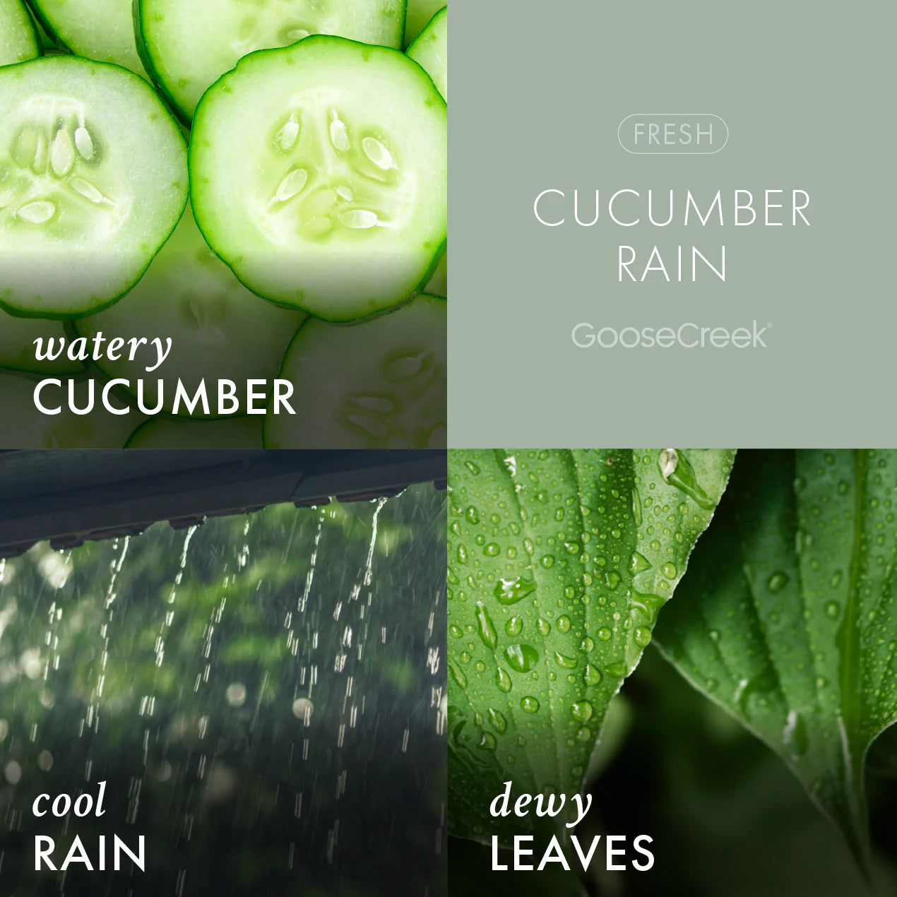 Cucumber Rain 3-Wick Candle