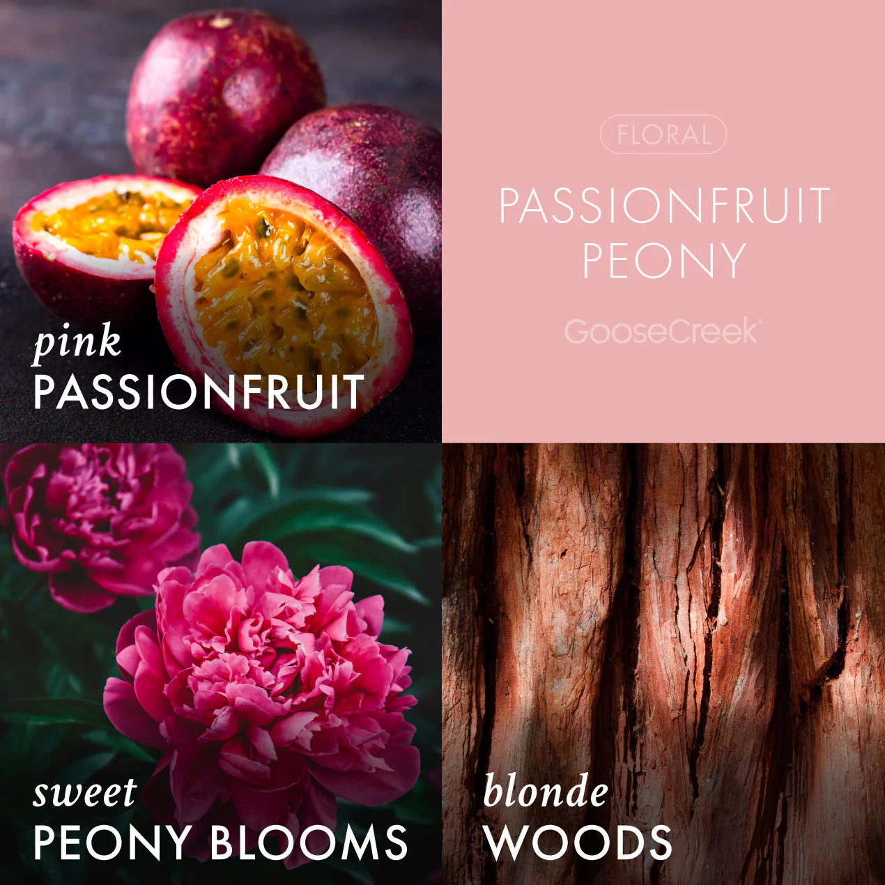 Passionfruit Peony 3-Wick Candle