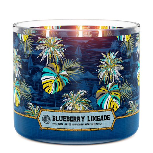 Blueberry Limeade 3-Wick Candle