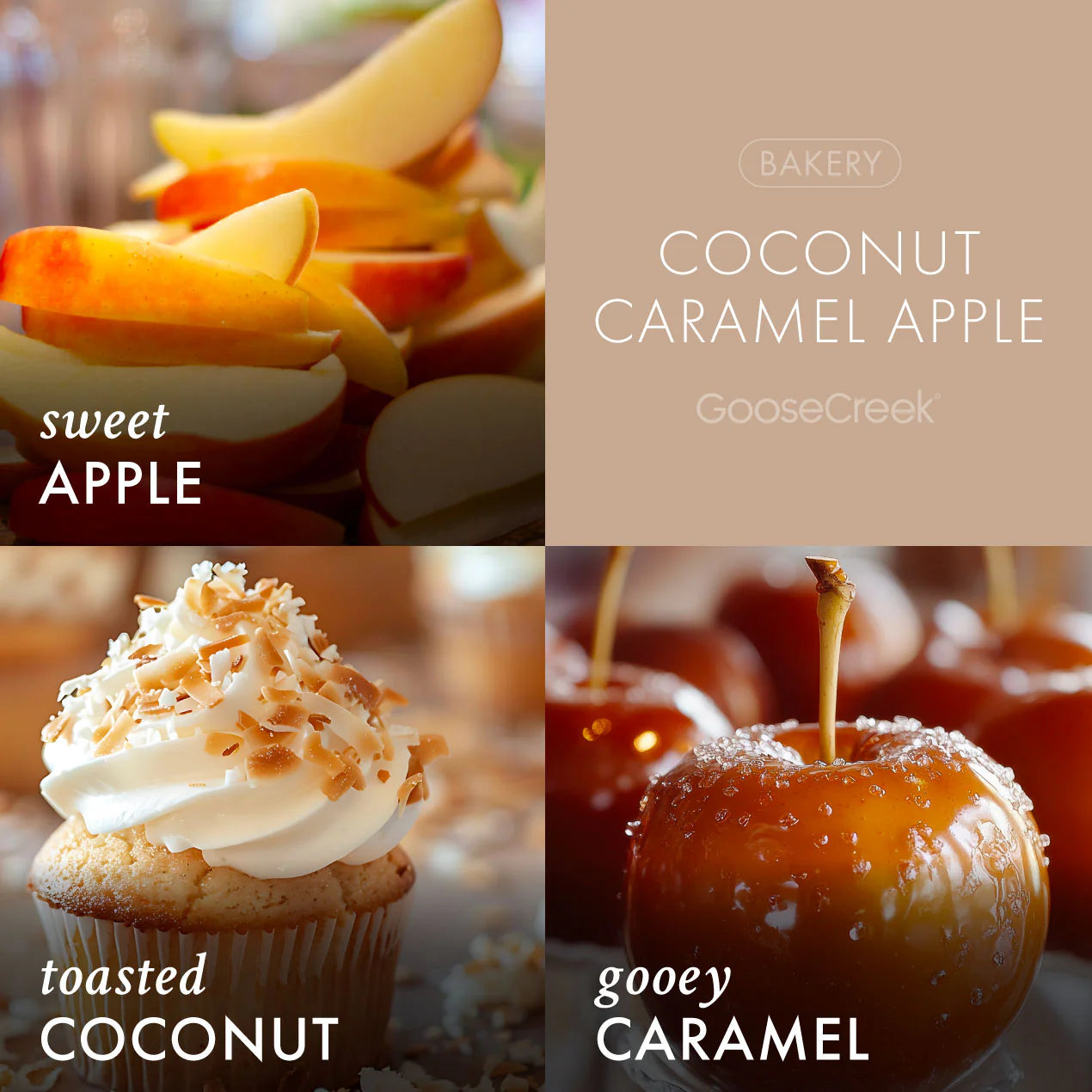 Coconut Caramel Apple 3-Wick Candle