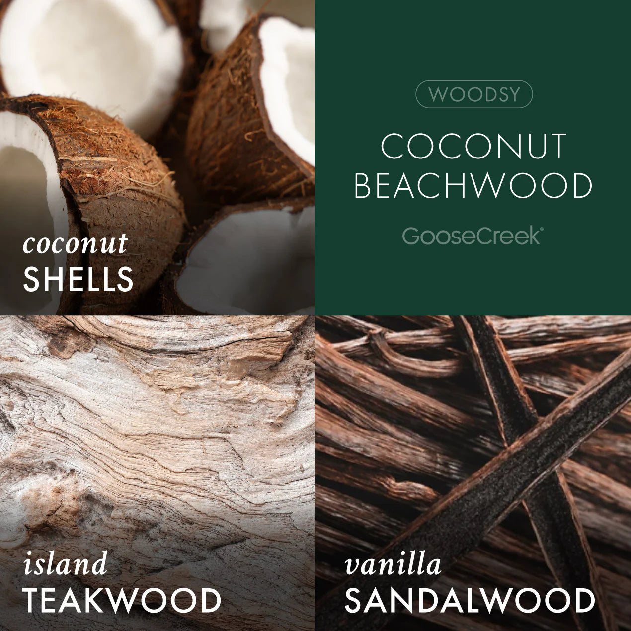 Coconut Beachwood 3-Wick Candle