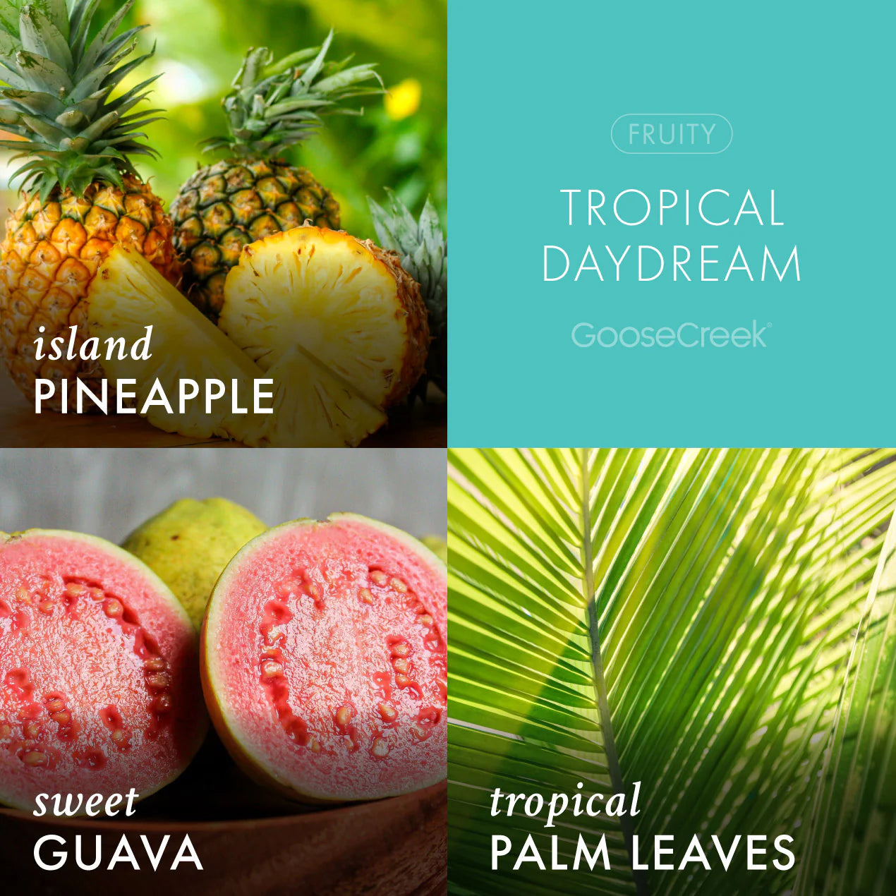 Tropical Daydream 3-Wick Candle