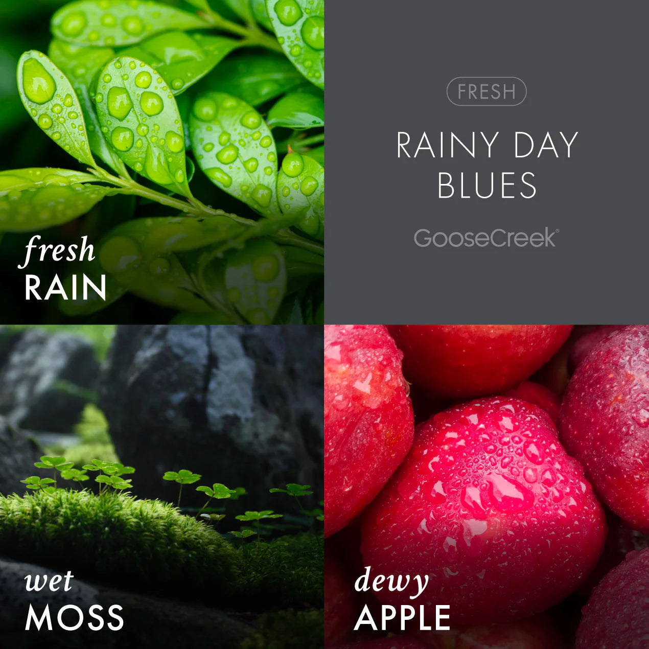 Rainy Day Blues 3-Wick Candle