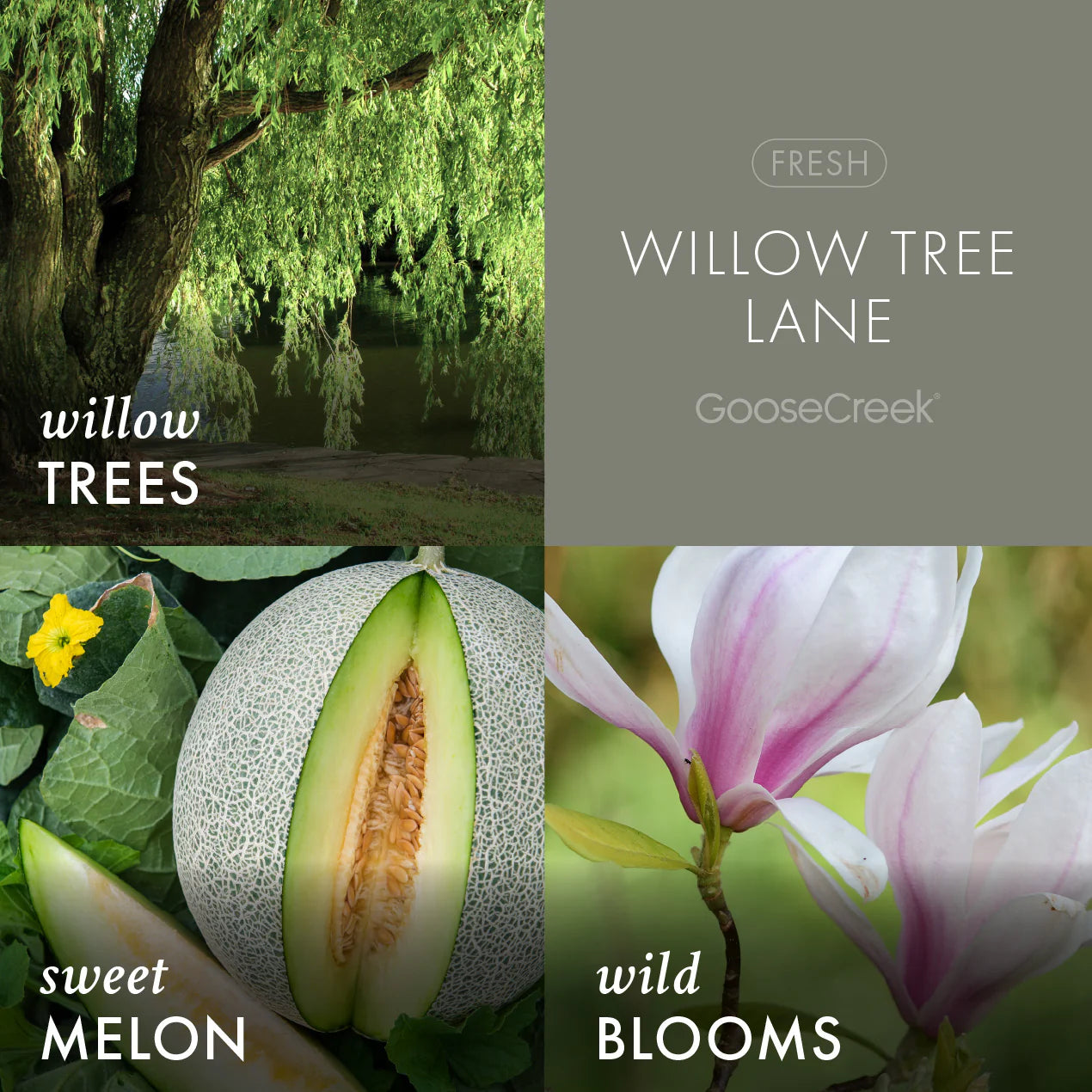 Willow Tree Lane 3-Wick Candle