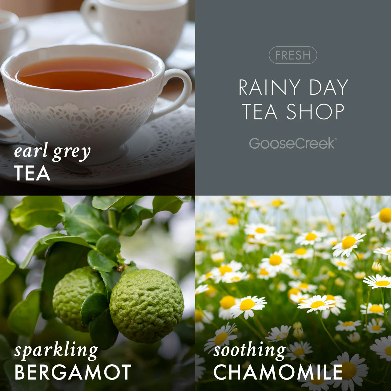 Rainy Day Tea Shop 3-Wick Candle