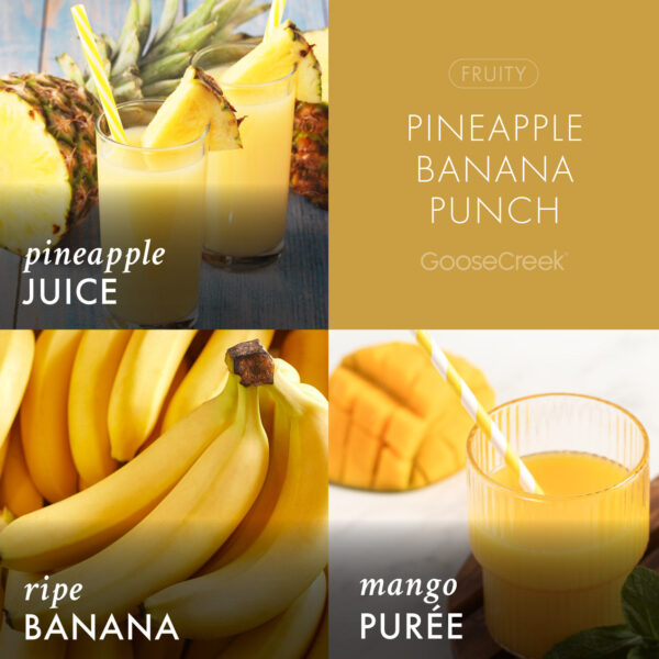 Pineapple Banana Punch 3-Wick Candle