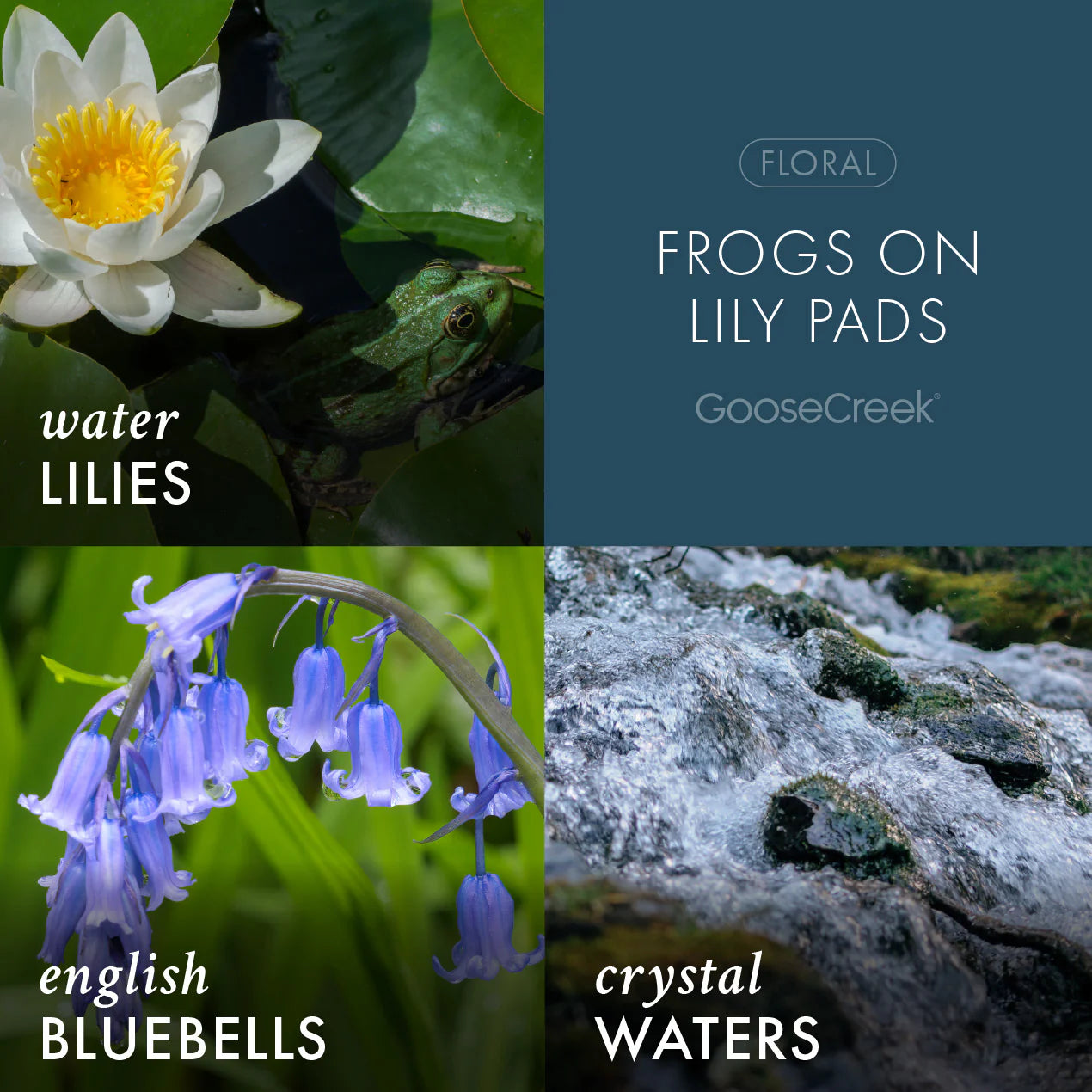 Frogs on Lily Pads 3-Wick Candle