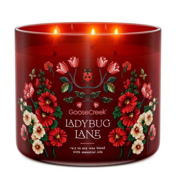 Ladybug Lane 3-Wick Candle