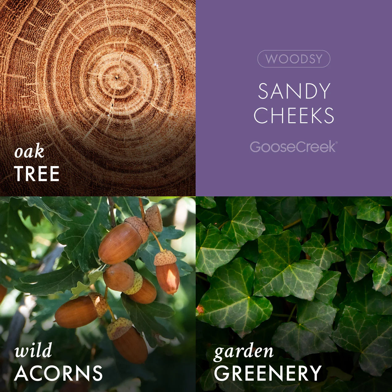 Sandy Cheeks 3-Wick Candle