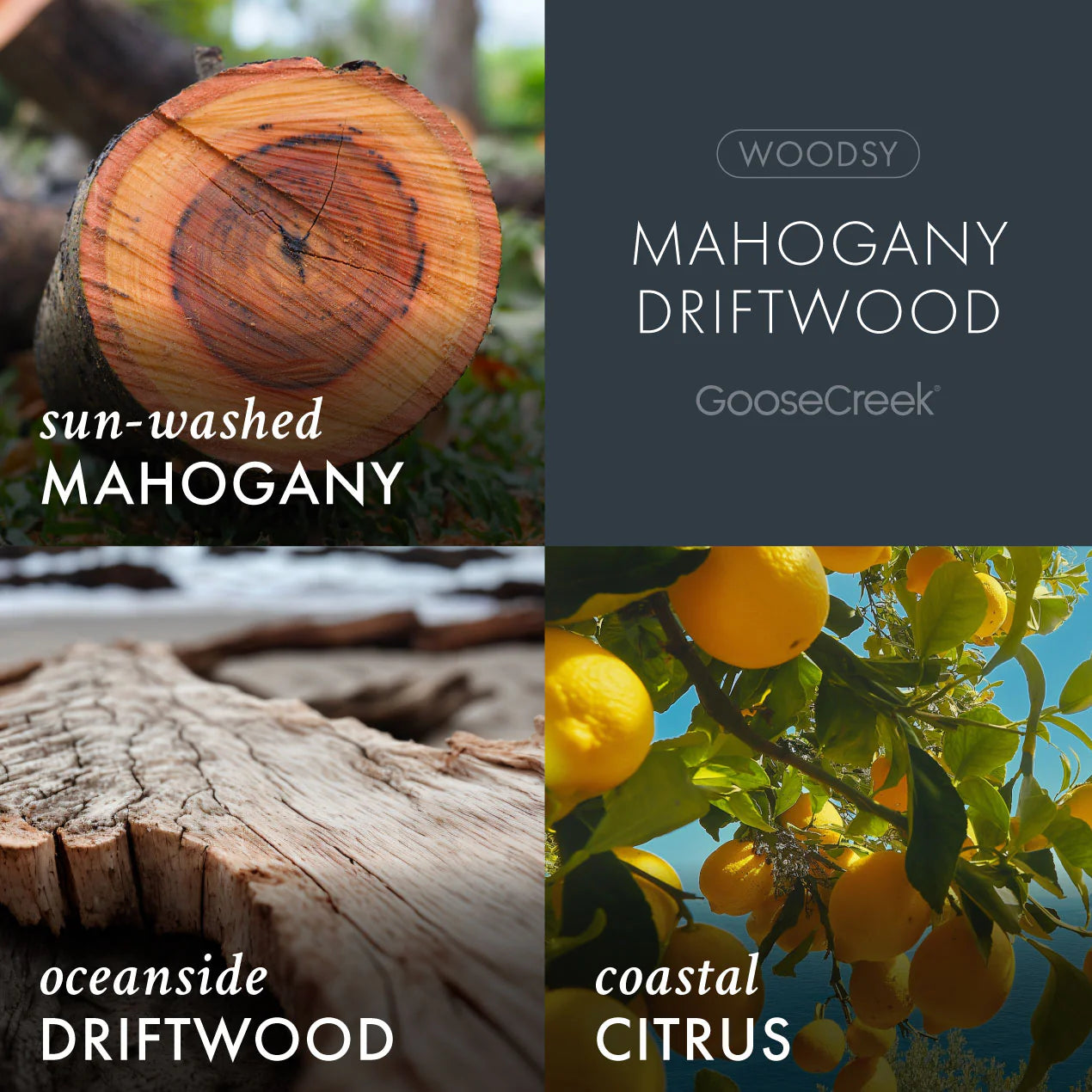 Mahogany Driftwood 3-Wick Candle