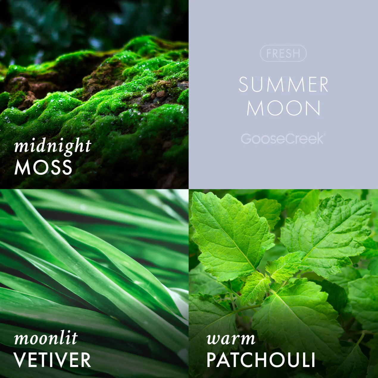 Summer Moon Plug-in Refill