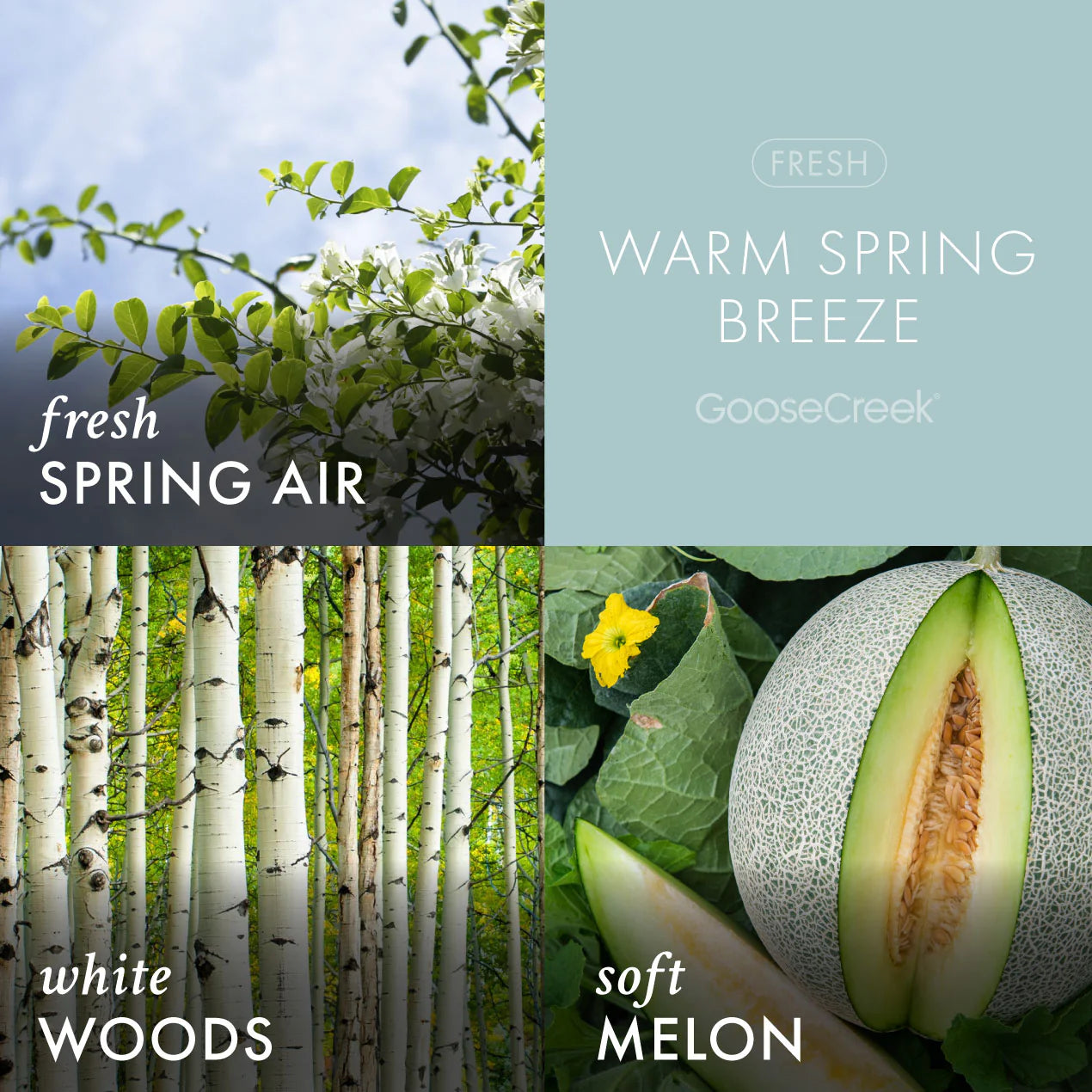 Warm Spring Breeze 3-Wick Candle