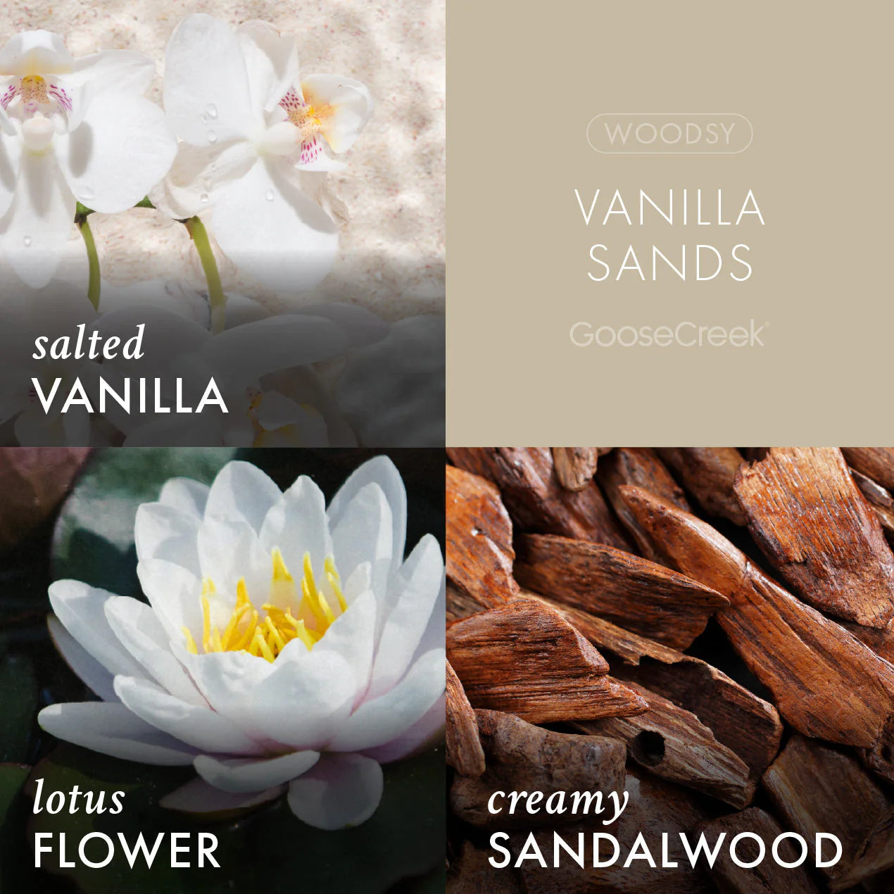 Vanilla Sands 3-Wick Candle