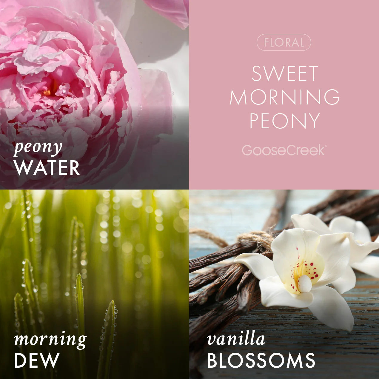 Sweet Morning Peony 3-Wick Candle