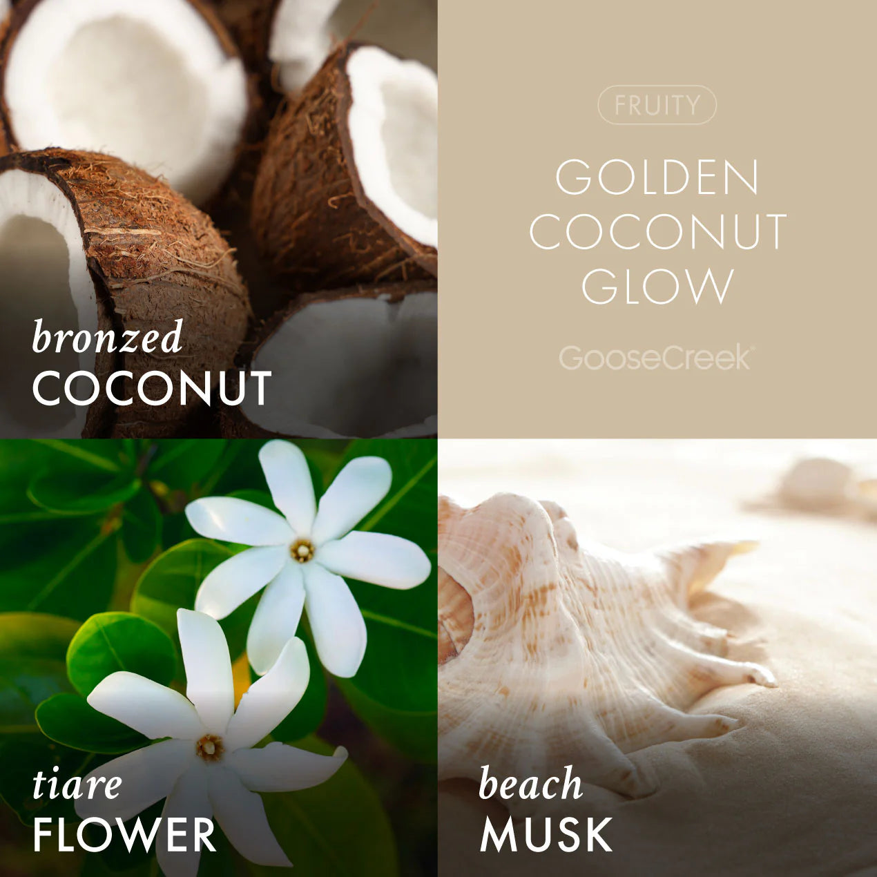 Golden Coconut Glow 3-Wick Candle