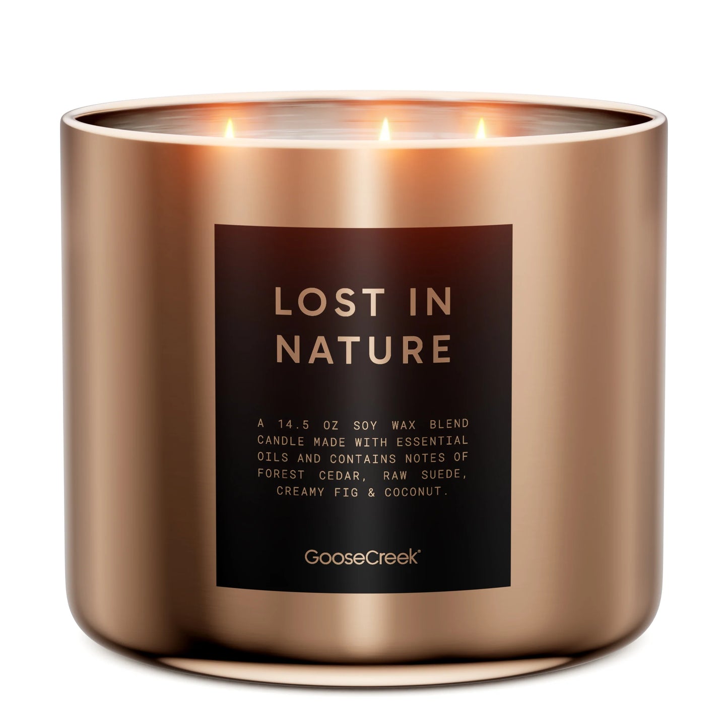 Lost In Nature 3-Wick Candle