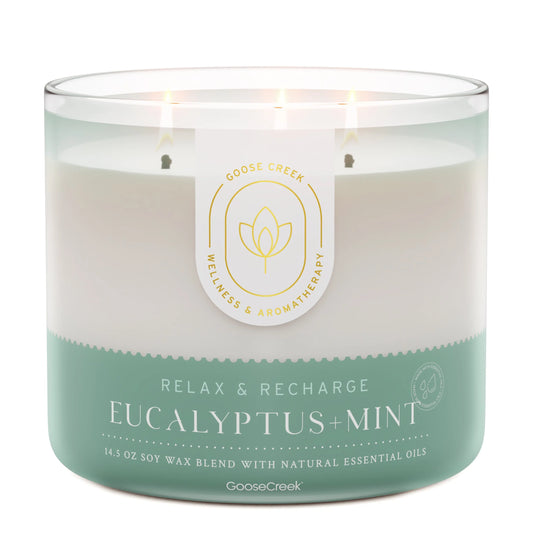 Eucalyptus & Mint Aromatherapy 3-Wick Candle